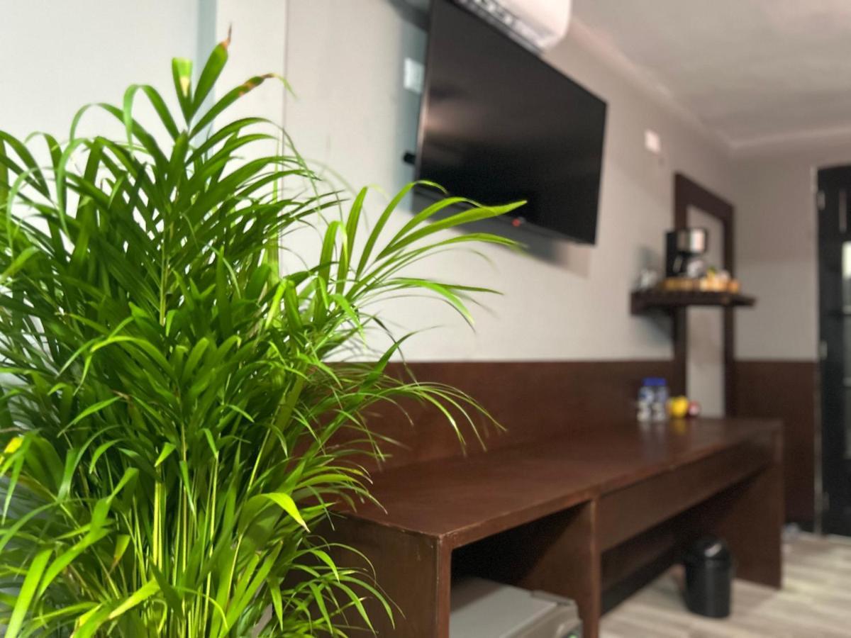 Huasteca Em Suites Ciudad Valles Eksteriør bilde